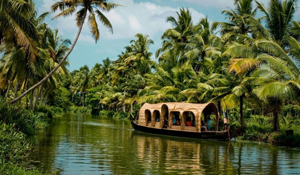 Kerala Tour Highlights (5 Nights / 6 Days)